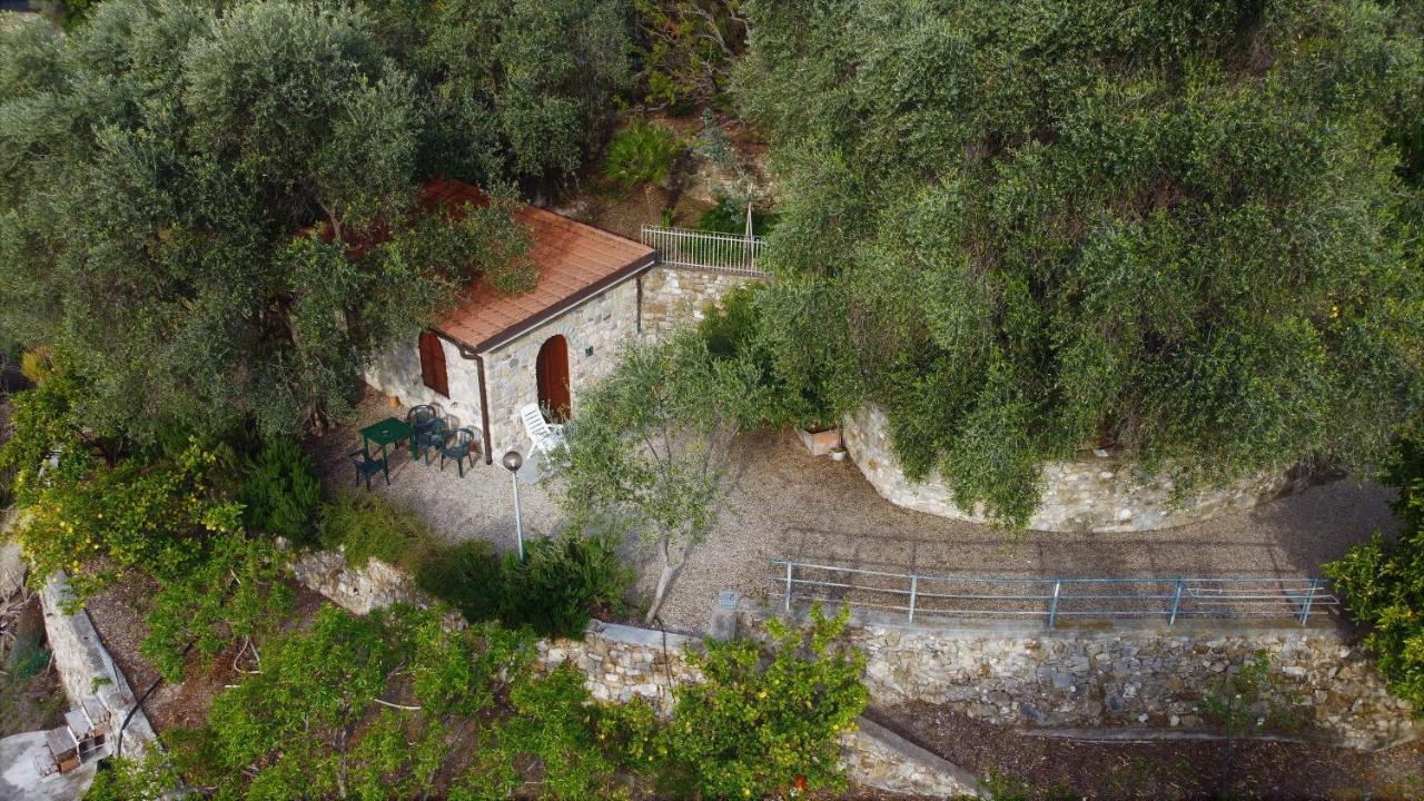 U Ciousu By Ligurian Life Appartamenti In Agriturismo Vallebona Εξωτερικό φωτογραφία