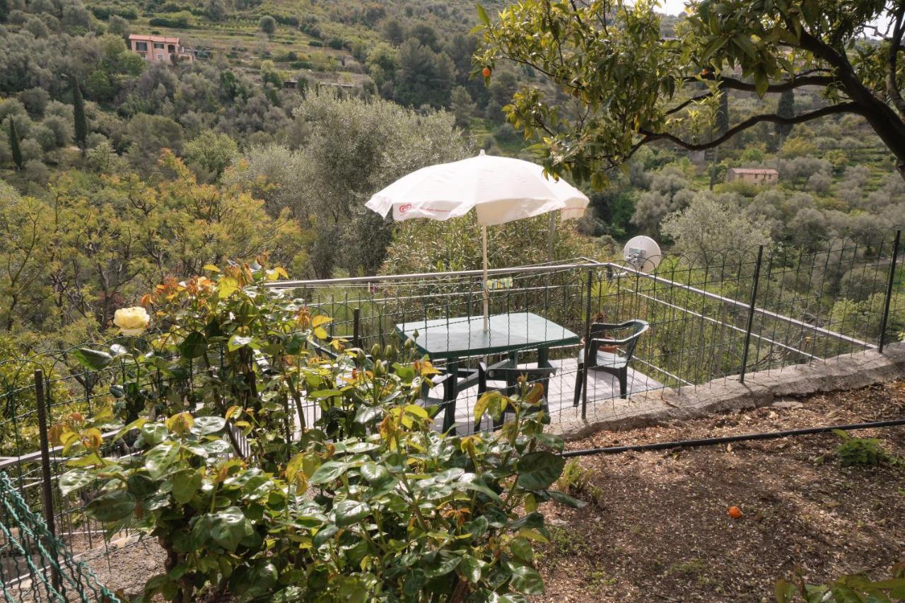 U Ciousu By Ligurian Life Appartamenti In Agriturismo Vallebona Εξωτερικό φωτογραφία
