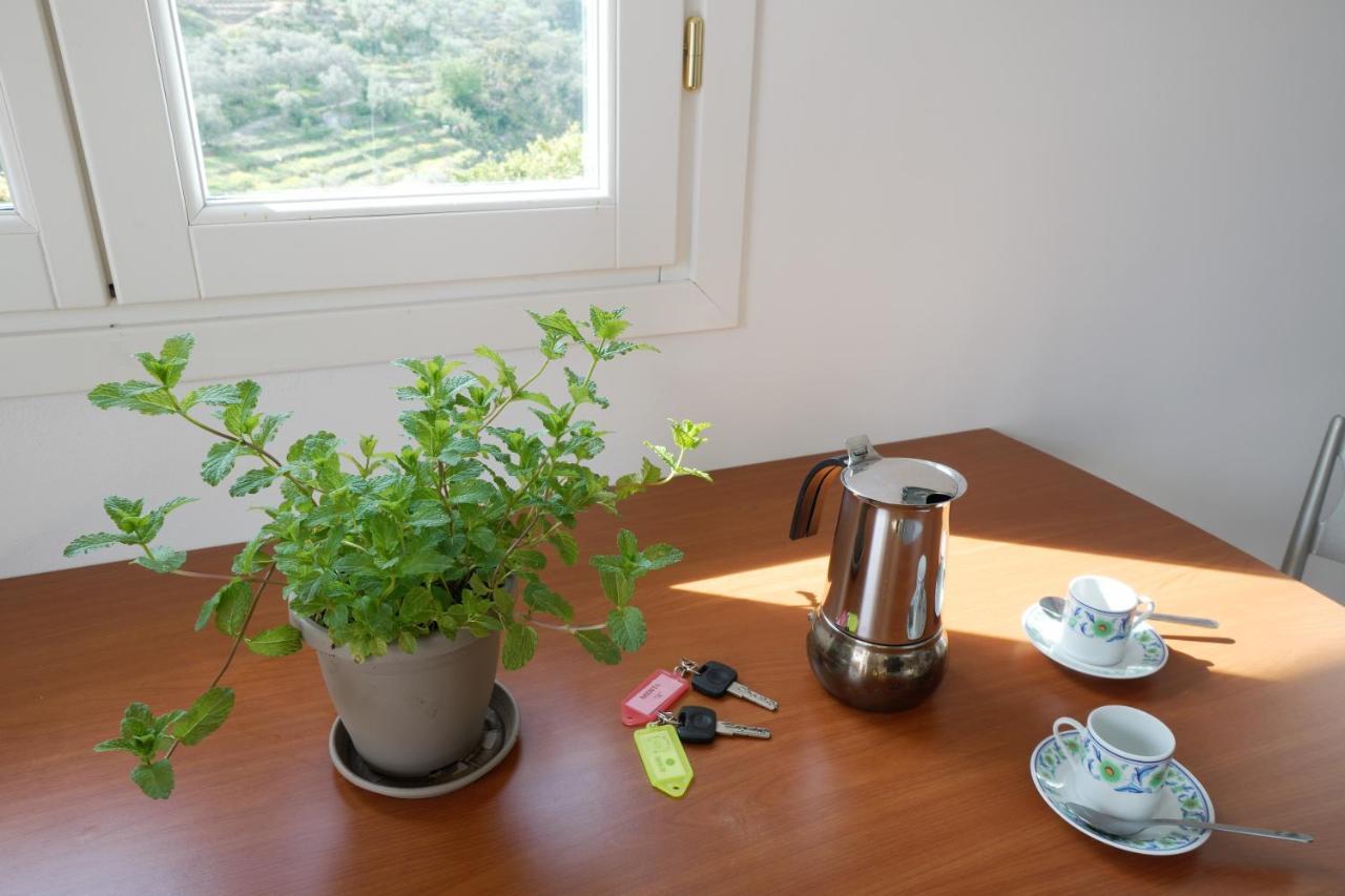 U Ciousu By Ligurian Life Appartamenti In Agriturismo Vallebona Εξωτερικό φωτογραφία