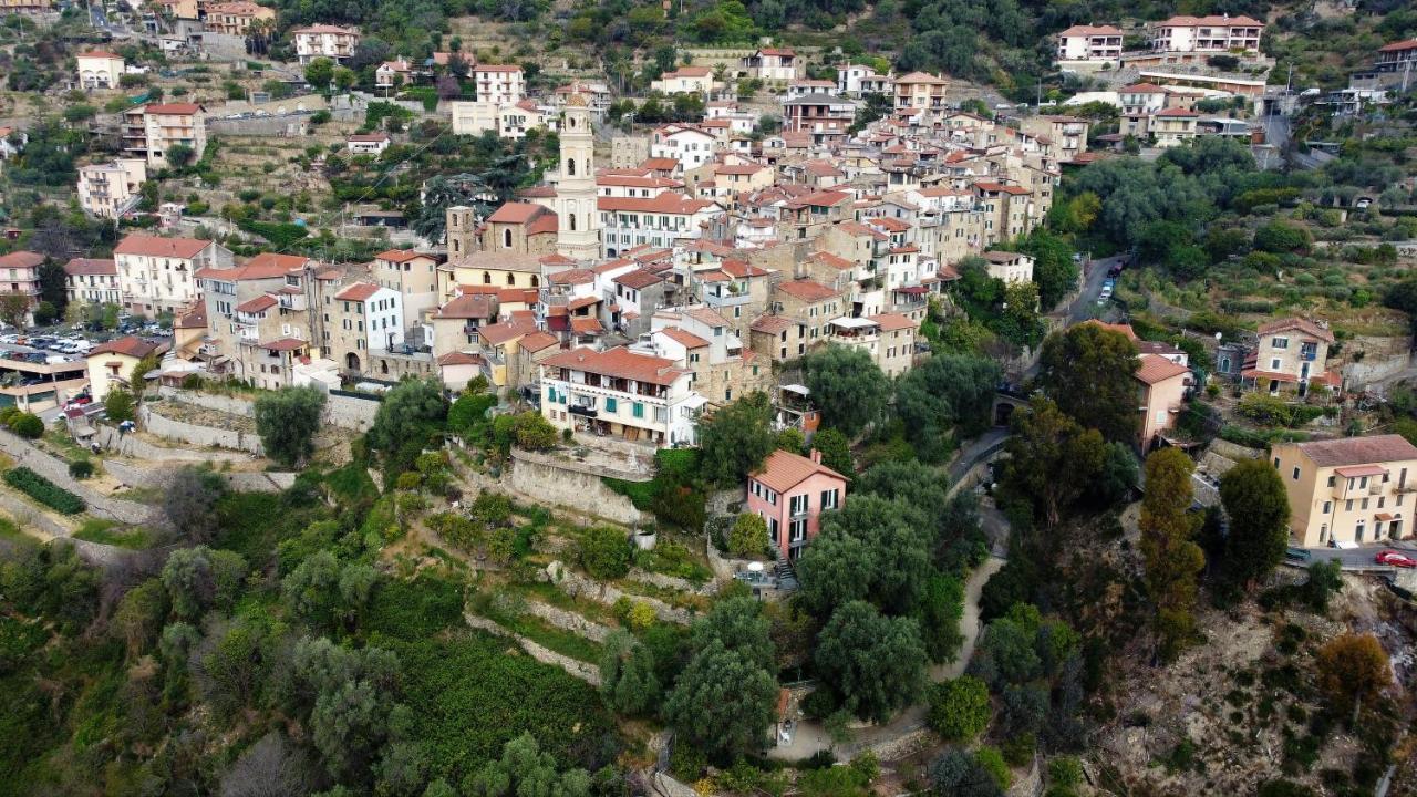 U Ciousu By Ligurian Life Appartamenti In Agriturismo Vallebona Εξωτερικό φωτογραφία