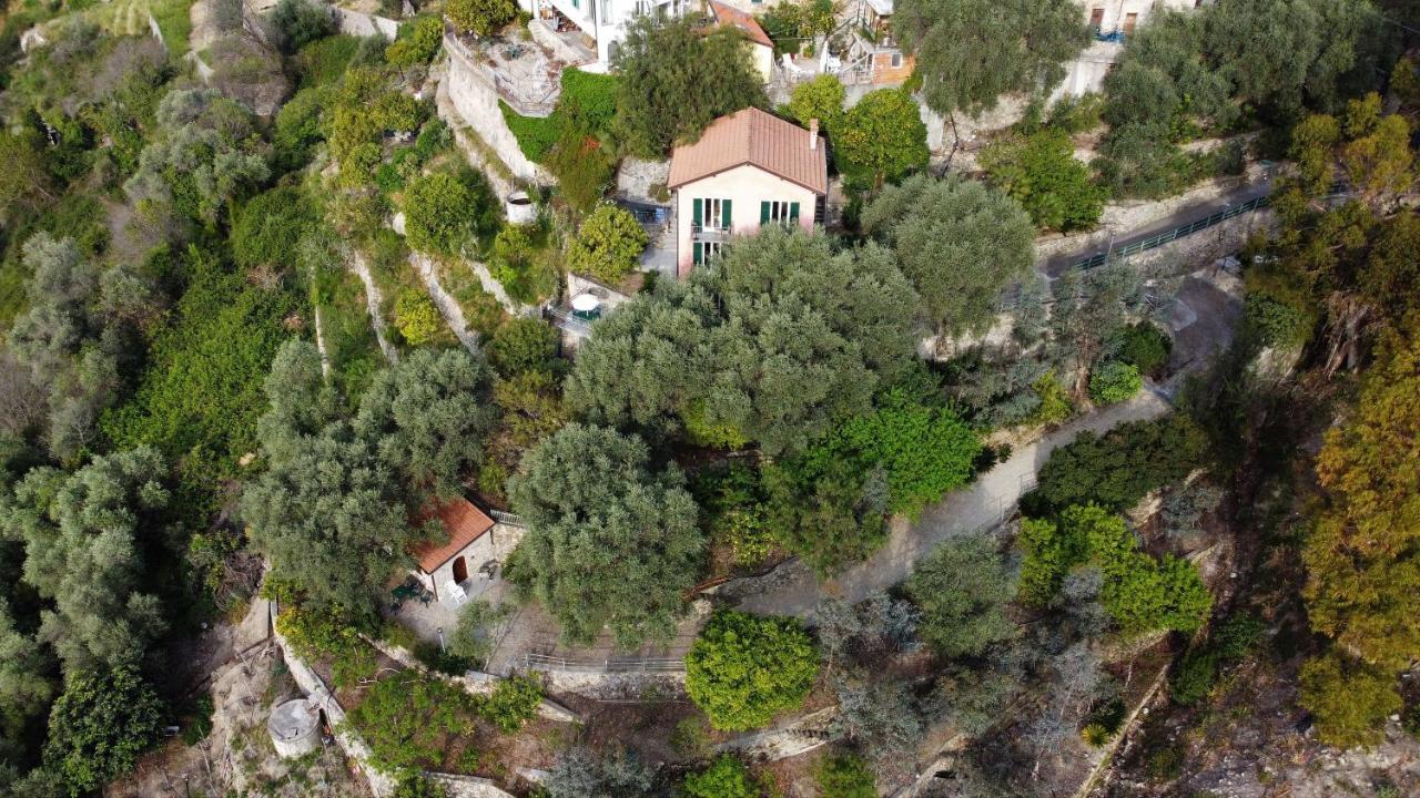 U Ciousu By Ligurian Life Appartamenti In Agriturismo Vallebona Εξωτερικό φωτογραφία