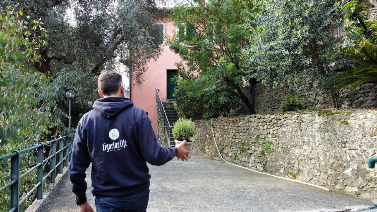 U Ciousu By Ligurian Life Appartamenti In Agriturismo Vallebona Εξωτερικό φωτογραφία