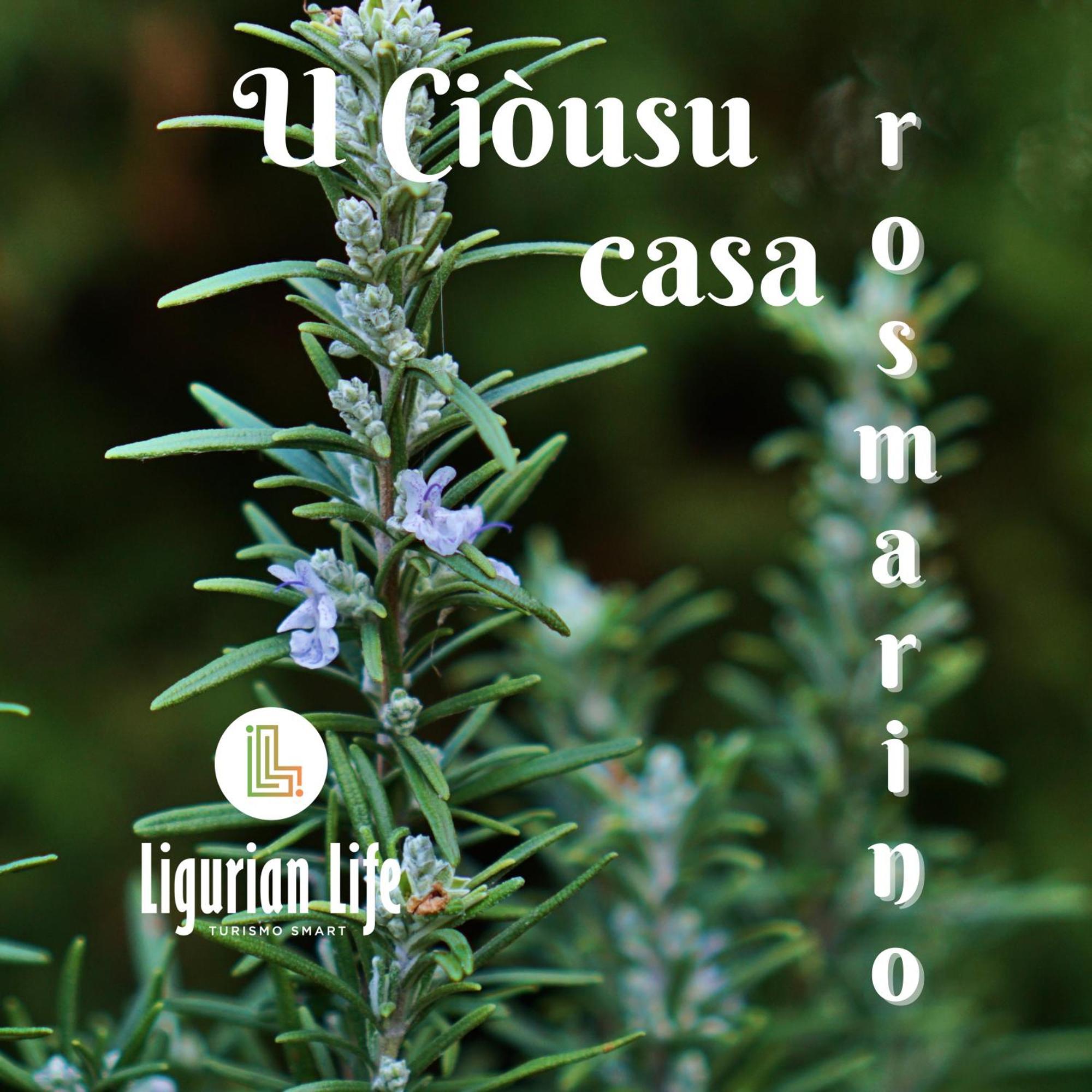 U Ciousu By Ligurian Life Appartamenti In Agriturismo Vallebona Δωμάτιο φωτογραφία